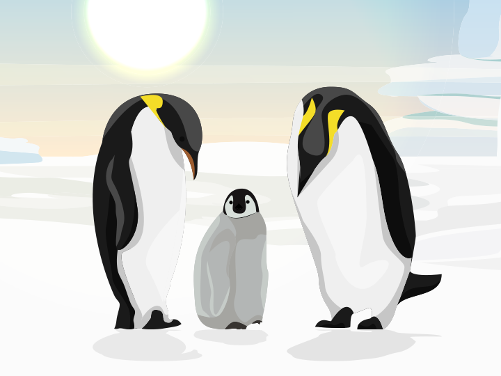 EYFS: Protecting penguins