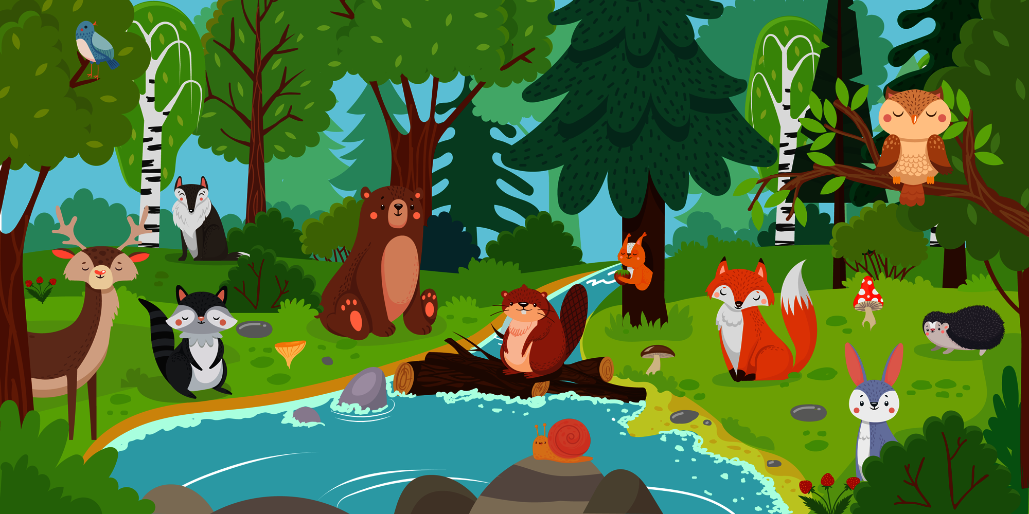 Animals and life cycles