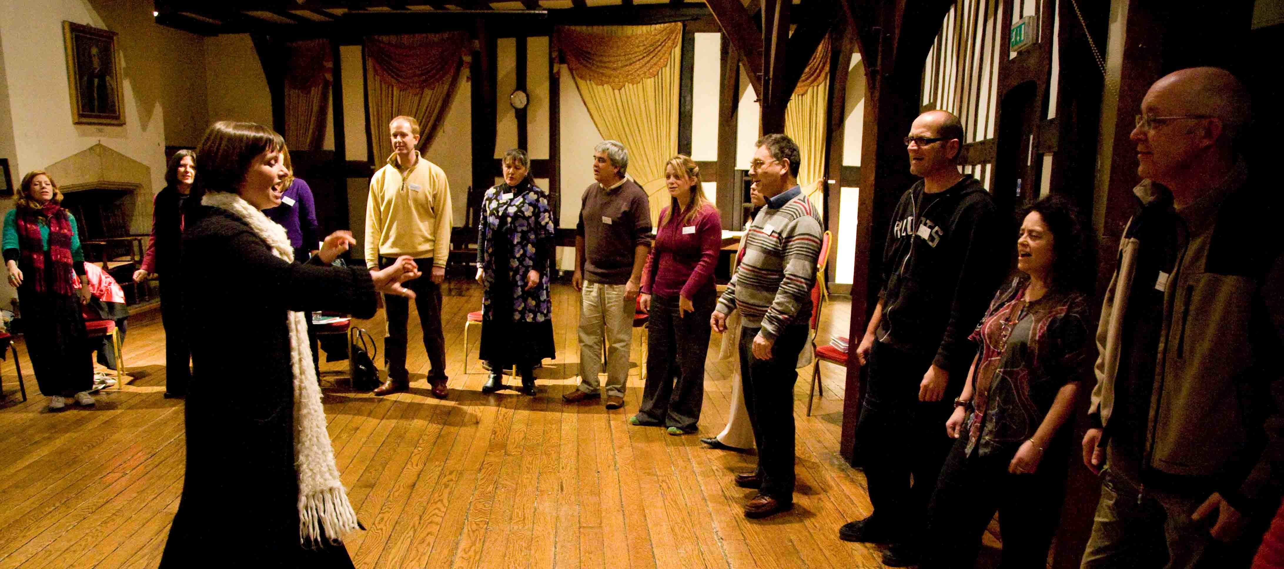 Vocal Leadership