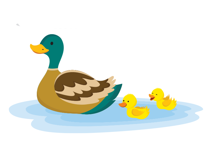 EYFS: Get quacking