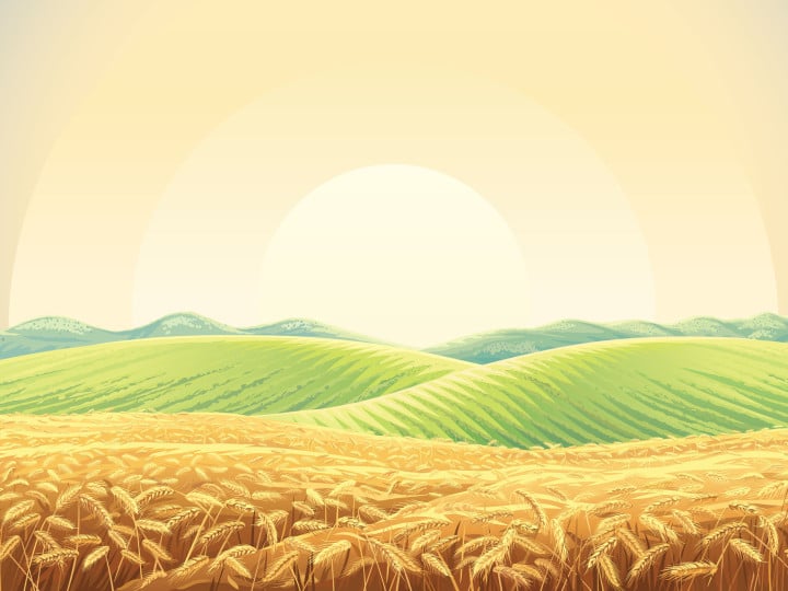 Harvest - a global celebration of gratitude