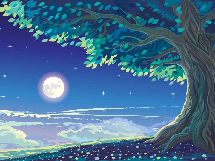 Playlist: Lullaby